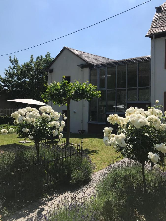 Ferienwohnung Altes Pfarrhaus Mit Flair Und Moselblick Brauneberg Exteriér fotografie